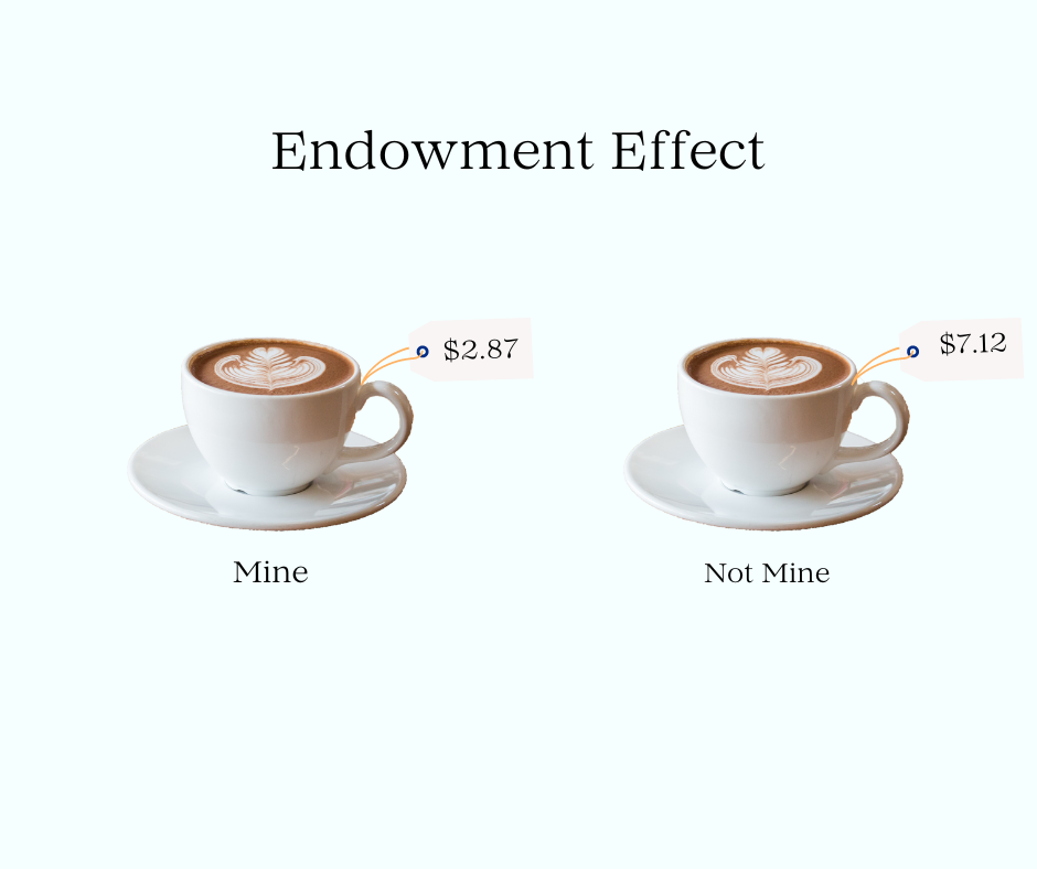 the endowment effect explaining that people put more value on things that are theirs